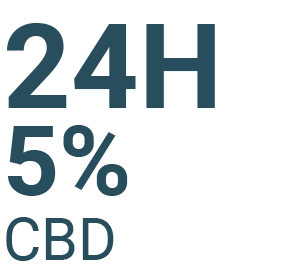 LIFELAB 24H 5% CBD
